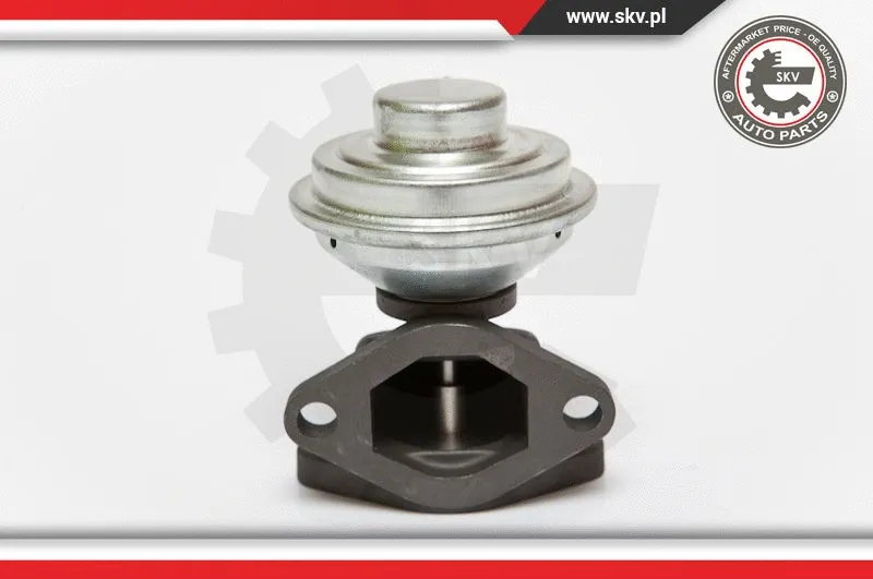 EGR Valve (14SKV052)