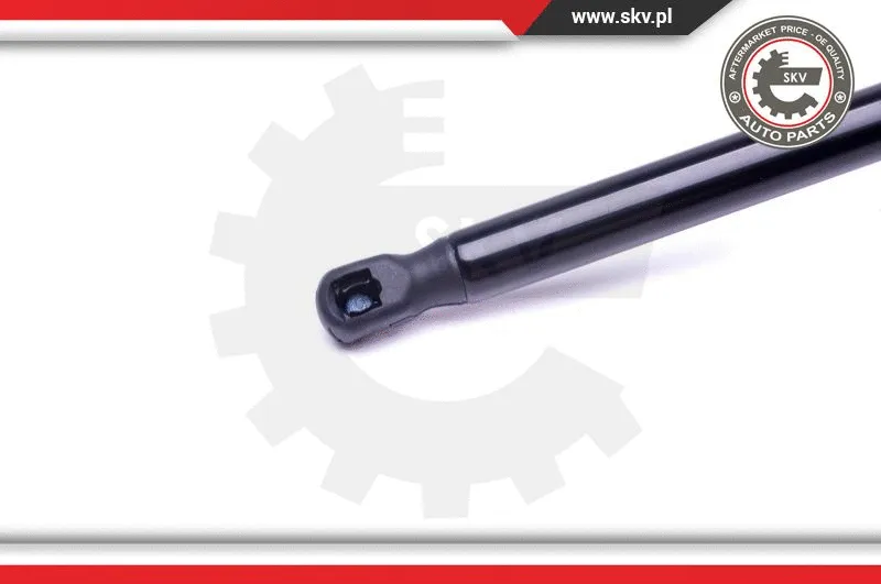 Gas Spring, boot/cargo area
