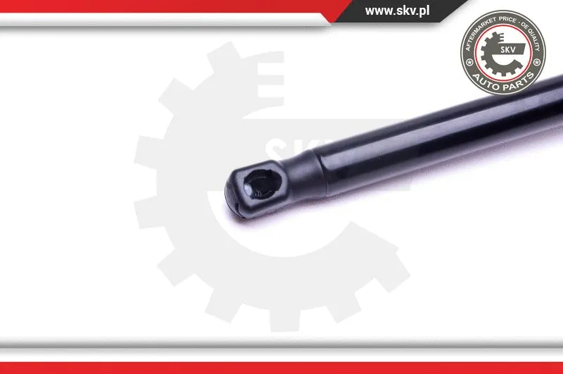 Gas Spring, boot/cargo area