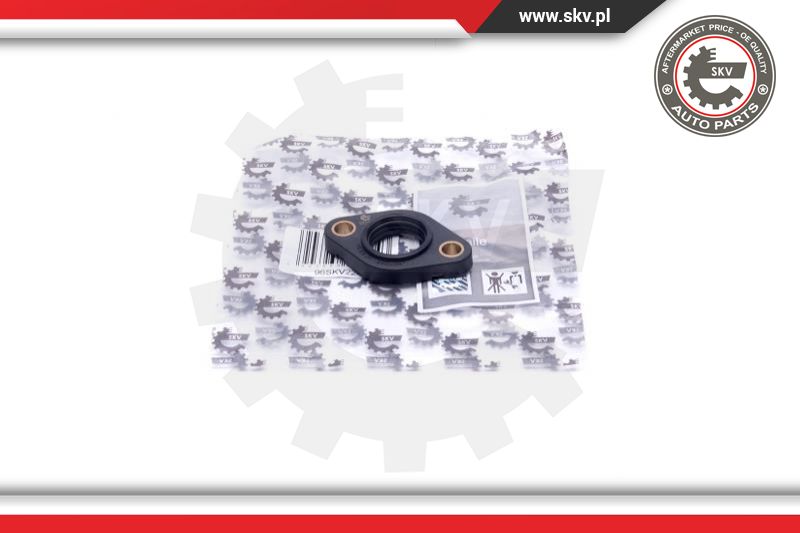 Gasket, crankcase ventilation (96SKV224)