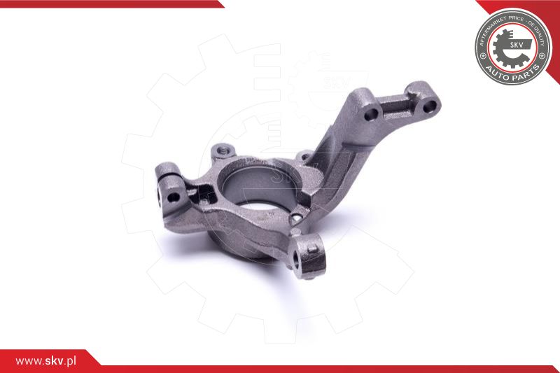 Steering Knuckle, wheel suspension