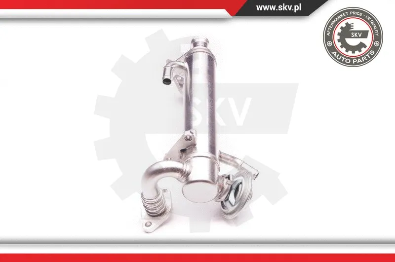 EGR Valve (14SKV122)