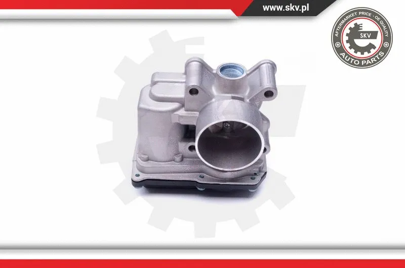 Throttle Body