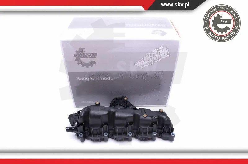 Intake Manifold Module (49SKV007)