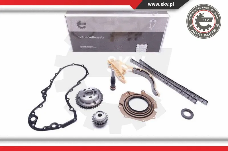 Timing Chain Kit (21SKV114)
