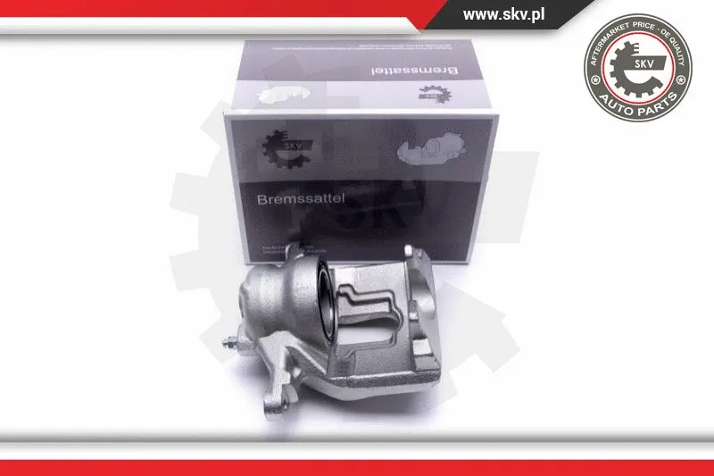 Brake Caliper (55SKV961)