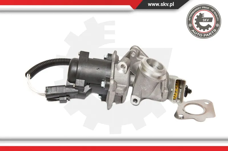 EGR Valve