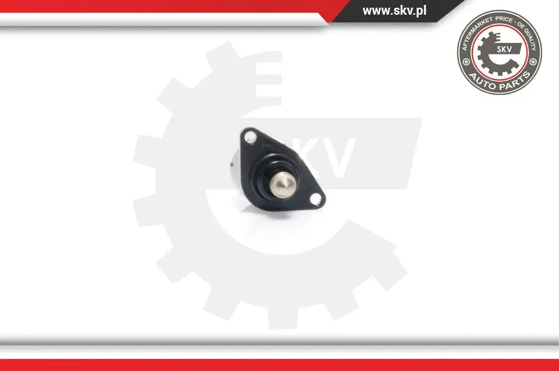 Idle Control Valve, air supply (08SKV012)
