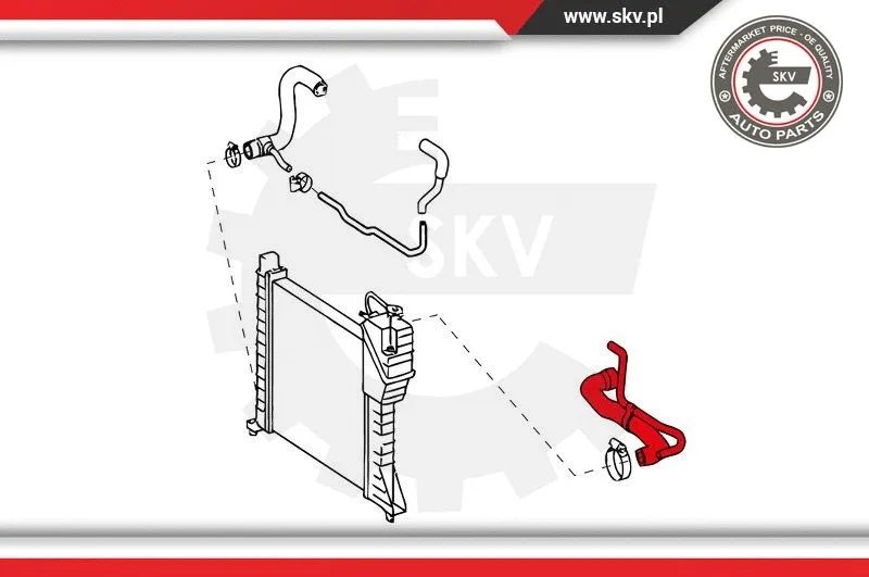 Radiator Hose
