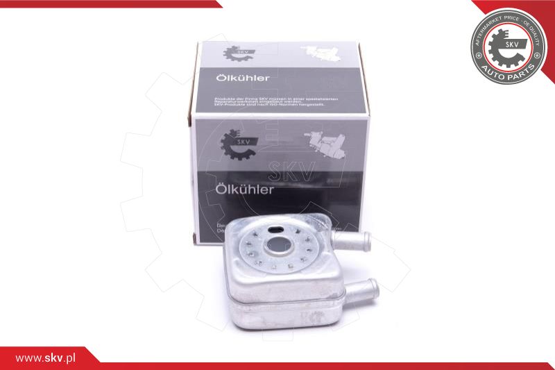 Oil Cooler, engine oil (31SKV202)