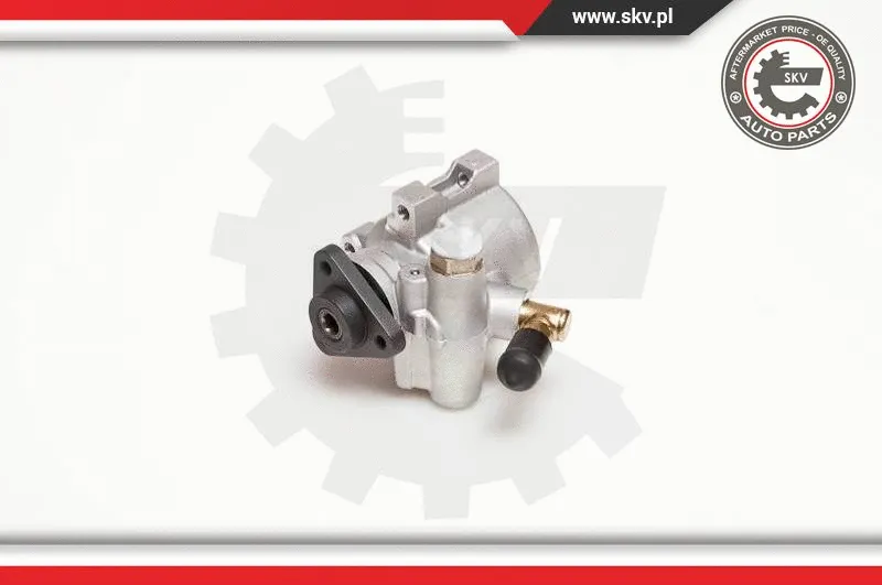 Hydraulic Pump, steering (10SKV053)