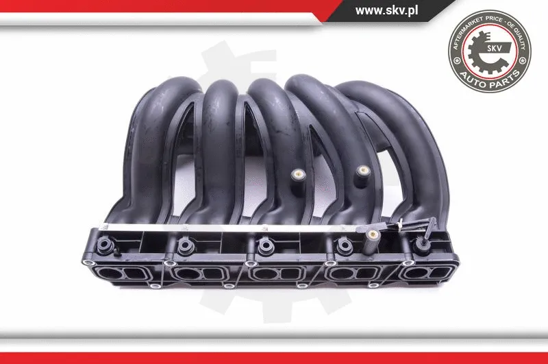 Intake Manifold Module