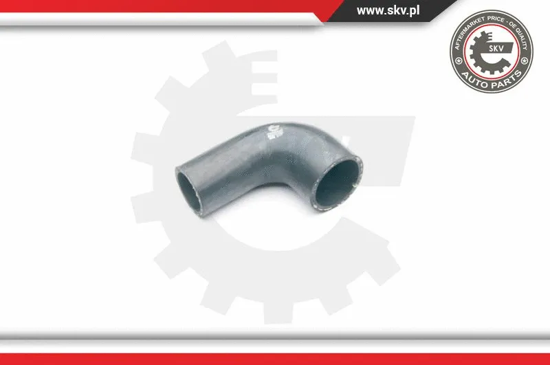 Charge Air Hose (24SKV032)