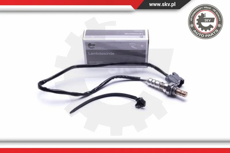Lambda Sensor (09SKV123)