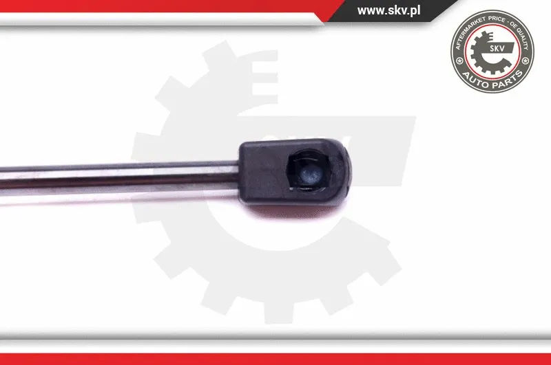 Gas Spring, boot/cargo area
