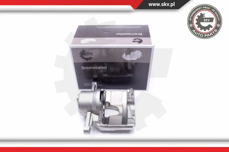 Brake Caliper (46SKV972)