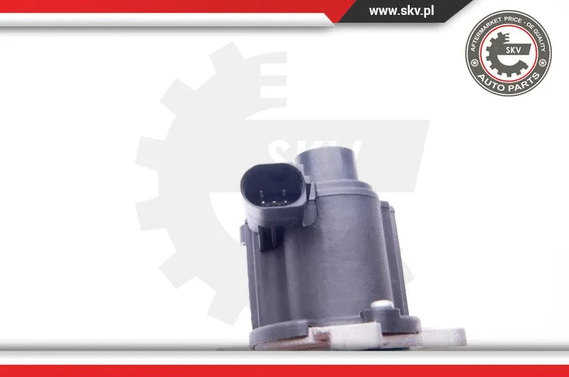 EGR Valve
