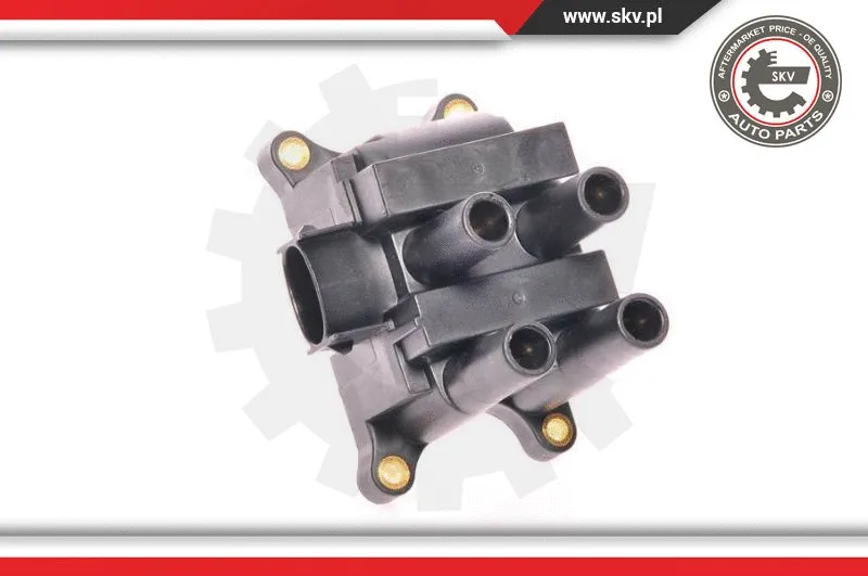 Ignition Coil (03SKV015)