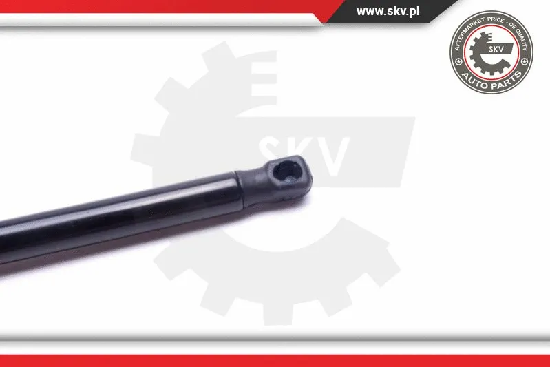 Gas Spring, bonnet