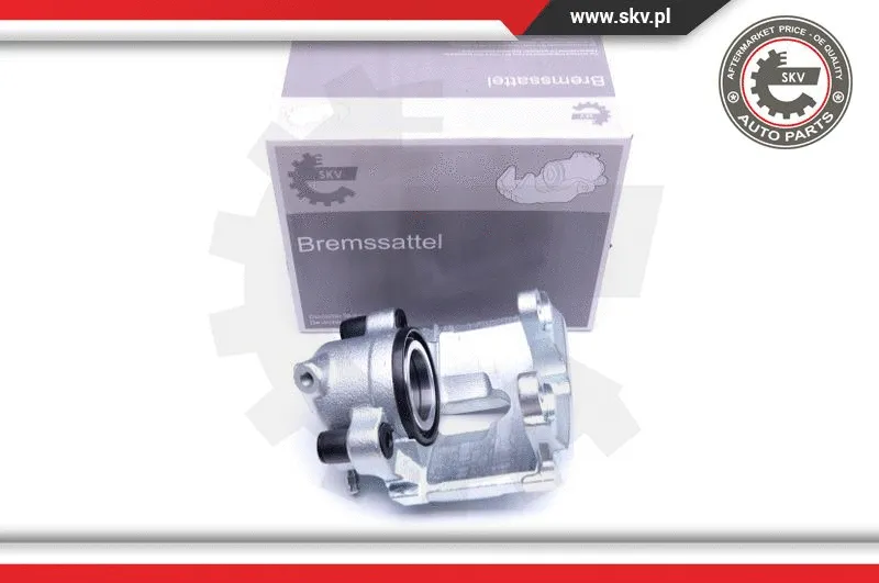 Brake Caliper (44SKV242)