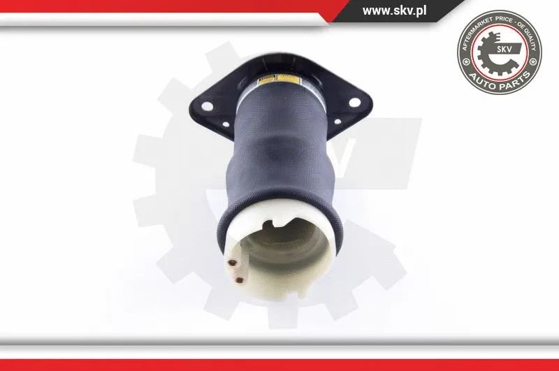 Air Spring, suspension