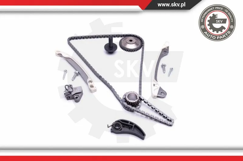 Timing Chain Kit