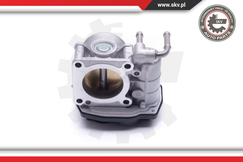 Throttle Body