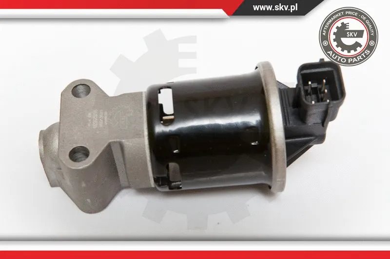 EGR Valve (14SKV059)