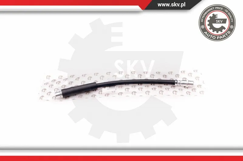 Brake Hose (35SKV003)