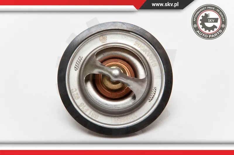 Thermostat, coolant