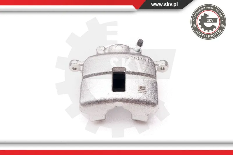 Brake Caliper (34SKV341)