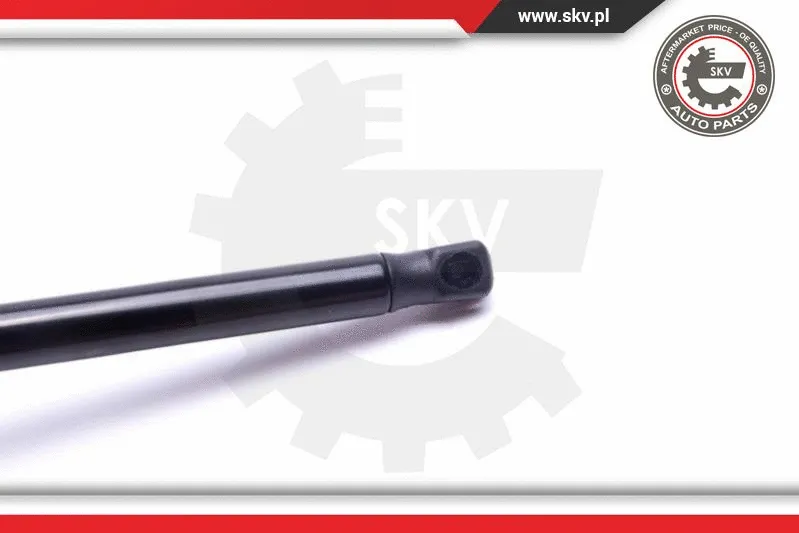 Gas Spring, boot/cargo area