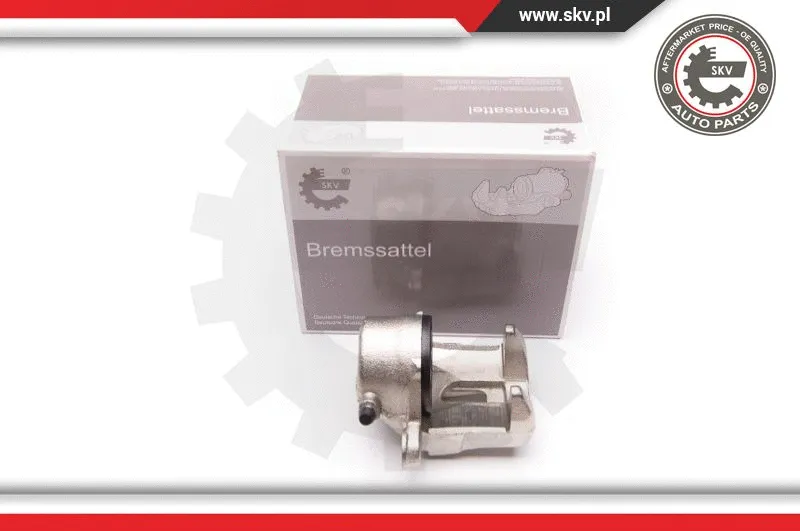 Brake Caliper (34SKV272)