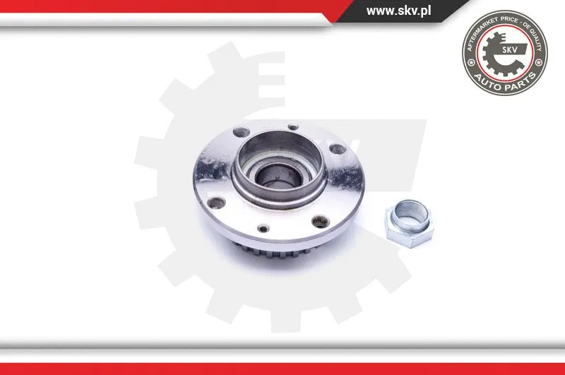 Wheel Bearing Kit