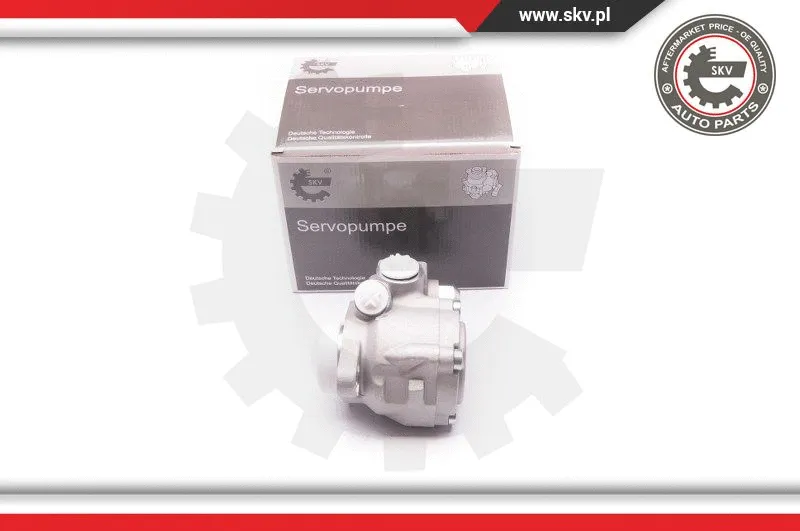 Hydraulic Pump, steering (1SKV0006)