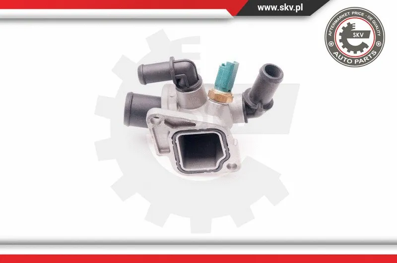 Thermostat, coolant