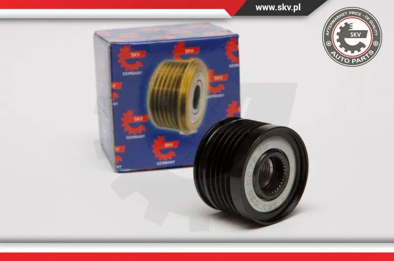 Alternator Freewheel Clutch (11SKV037)