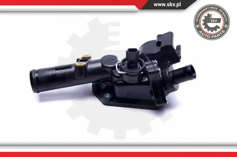 Thermostat, coolant