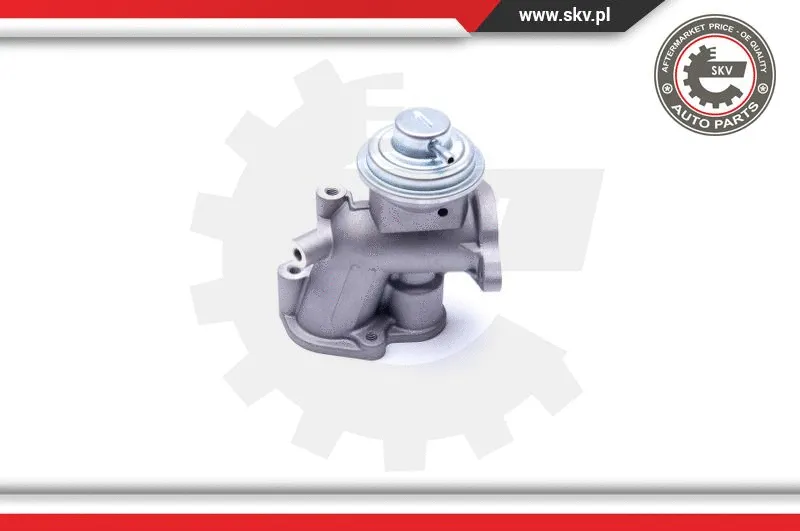 EGR Valve (14SKV180)