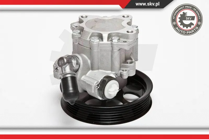 Hydraulic Pump, steering (10SKV070)