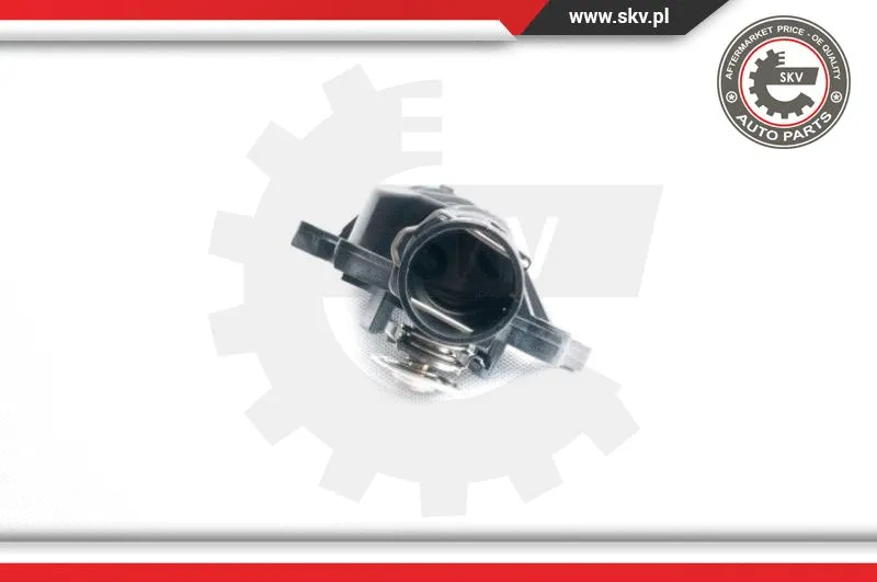 Thermostat, coolant