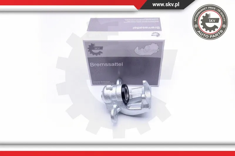 Brake Caliper (42SKV603)