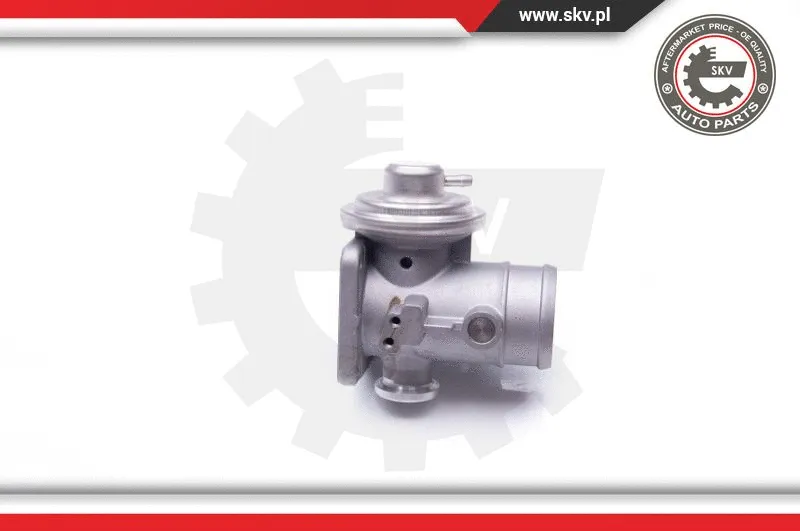 EGR Valve