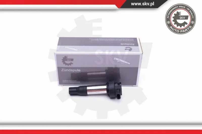 Ignition Coil (03SKV293)