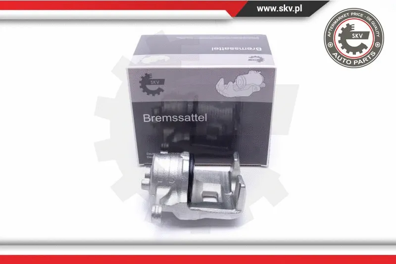 Brake Caliper (56SKV021)