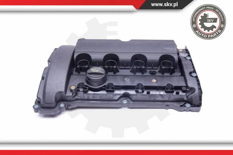 Cylinder Head Cover (48SKV004)