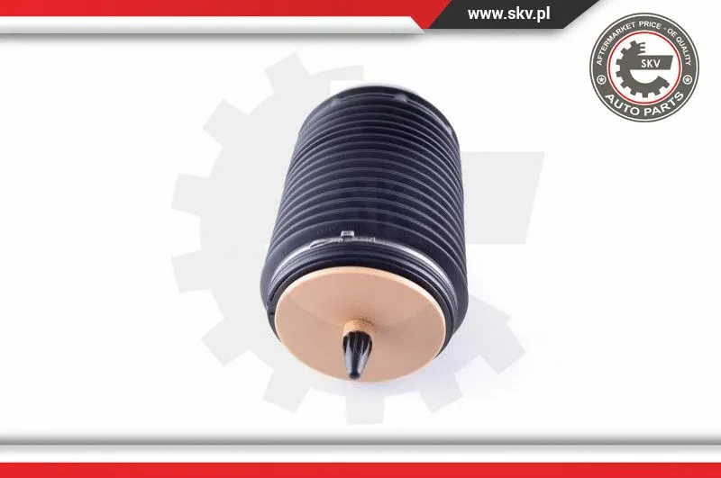 Air Spring, suspension