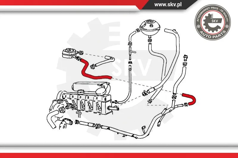 Radiator Hose