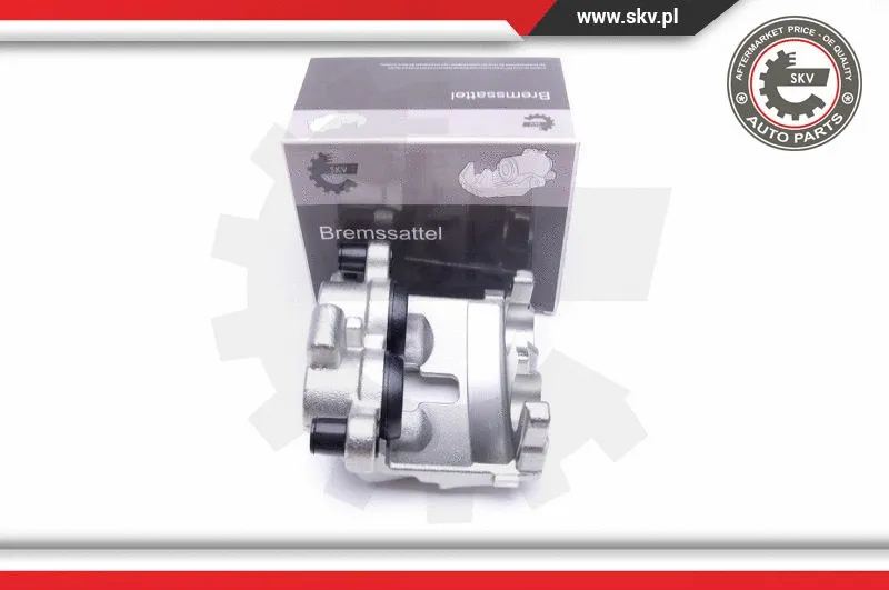 Brake Caliper (44SKV491)