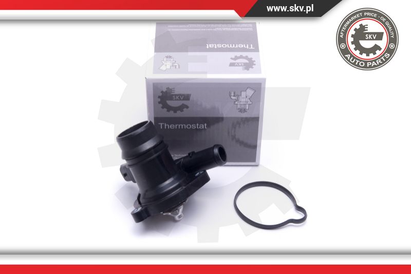 Thermostat, coolant (20SKV138)